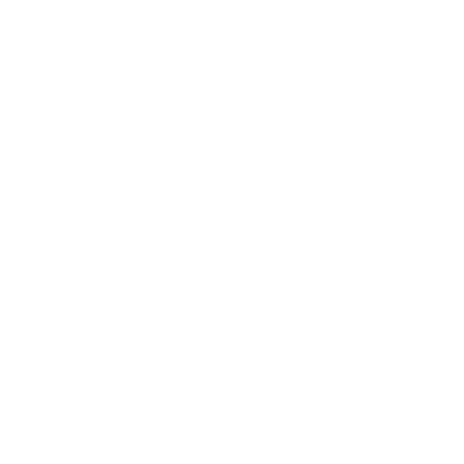 Montana Internet Logo